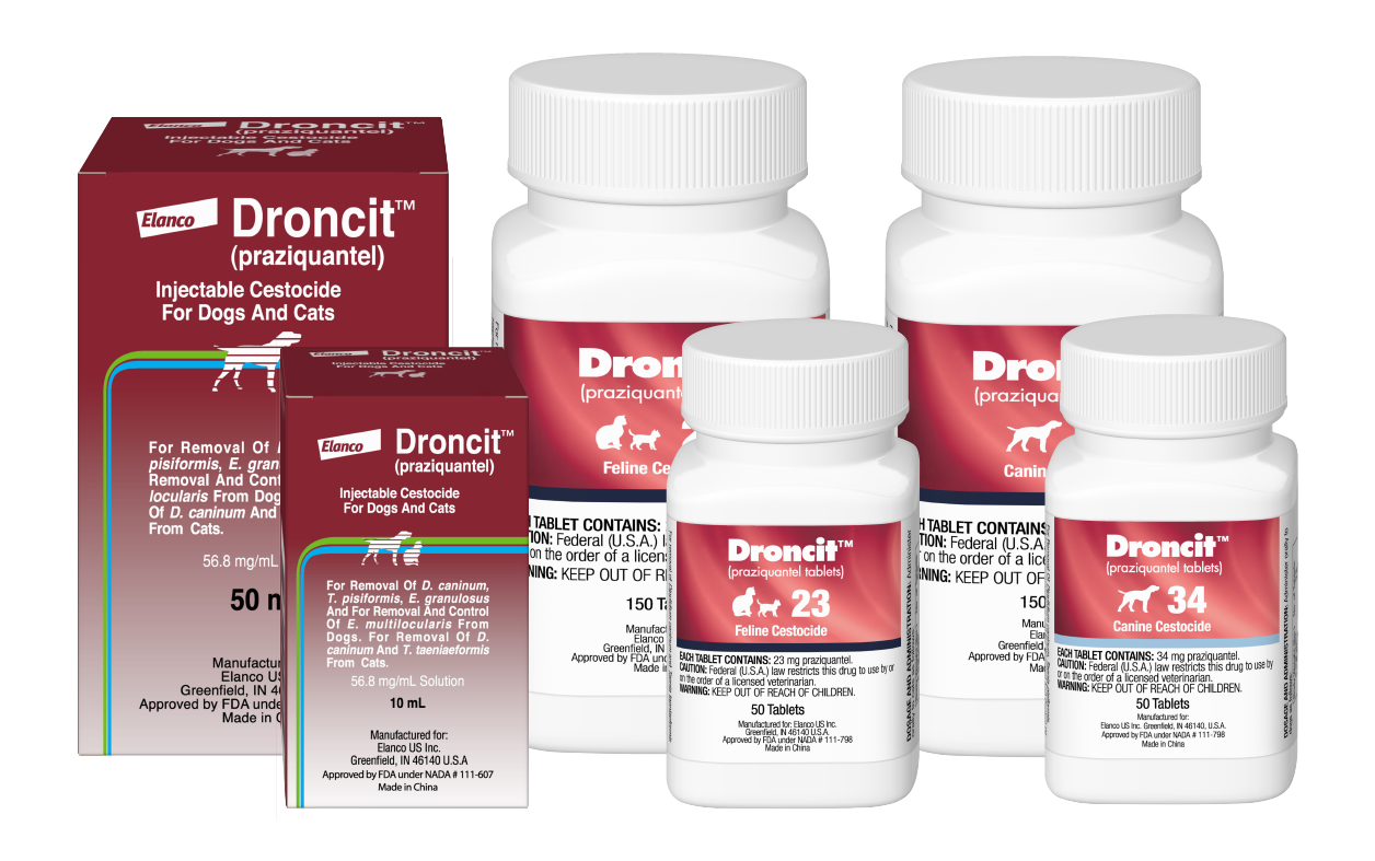 Droncit 2024 dog wormer